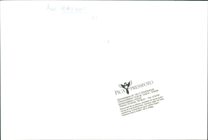 Ake Pettersson, politician. - Vintage Photograph