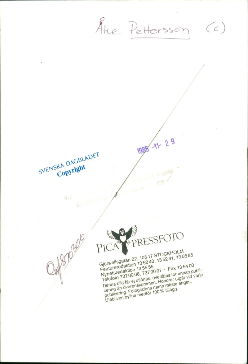 Ake Pettersson, politician. - Vintage Photograph