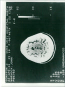 1982 HINCKLEYS JOHN PICTURE HJARNAN HIC DUKE - Vintage Photograph