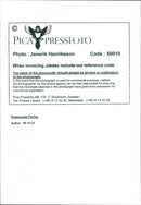 Rosamund Pilcher - Vintage Photograph