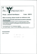 Rosamund Pilcher drinks coffee - Vintage Photograph