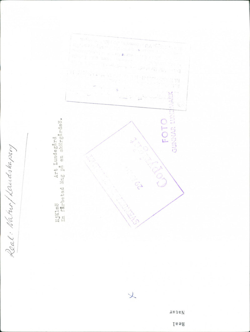 PROCESSED LANDSCAPE GUNNAR PHOTO ART HJALMO ANG REA LINDELL SWEDEN - Vintage Photograph