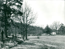 PROCESSED LANDSCAPE GUNNAR PHOTO ART HJALMO ANG REA LINDELL SWEDEN - Vintage Photograph