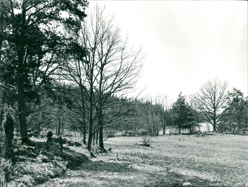 PROCESSED LANDSCAPE GUNNAR PHOTO ART HJALMO ANG REA LINDELL SWEDEN - Vintage Photograph