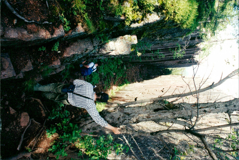 1998 NATURE RESERVED PROTECTED TELEPHONE SWEDEN PICA RESPONSIB - Vintage Photograph