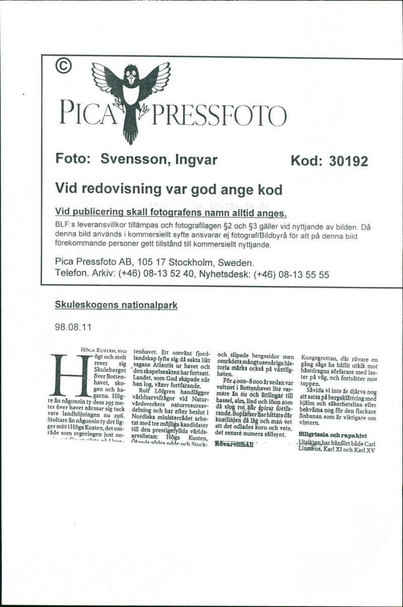 1998 NATURE RESERVED PROTECTED TELEPHONE SWEDEN PICA RESPONSIB - Vintage Photograph