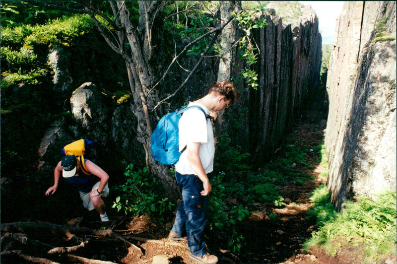 1998 NATURE RESERVED PROTECTED TELEPHONE SWEDEN PICA RESPONSIB - Vintage Photograph