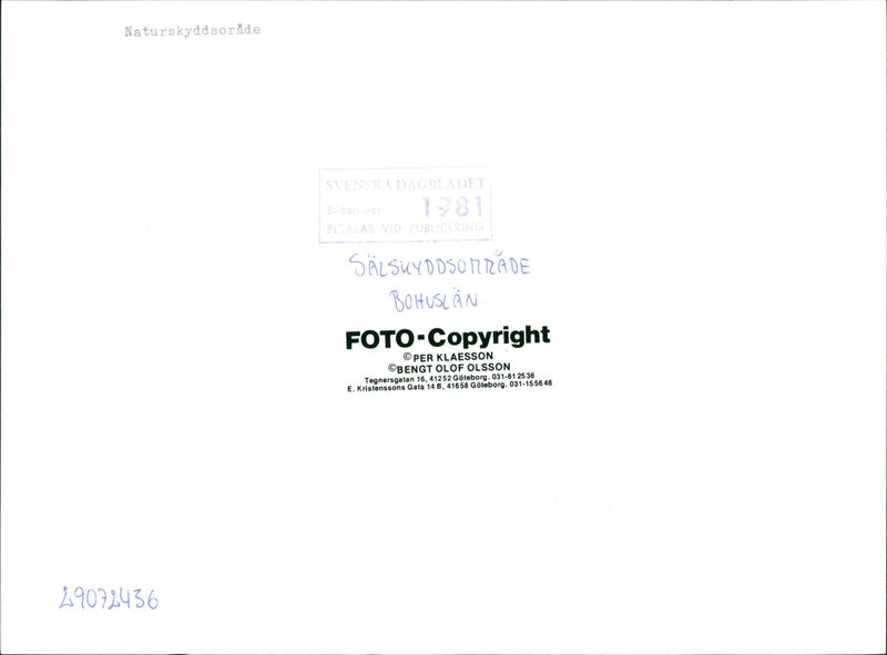 NATURE RESERVED PROTECTED BY BOHUSLAN OLSSON KLAESSON PUB NYGREN LENNART - Vintage Photograph