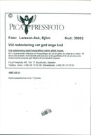 1997 NATURE RESERVED PROTECTED TELEPHONE SWEDEN RESPONSIBLE NYGREN LENNART - Vintage Photograph