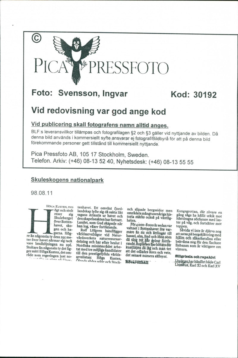 1998 NATURE RESERVED PROTECTED TELEPHONE SWEDEN PICA RESPONSIB - Vintage Photograph