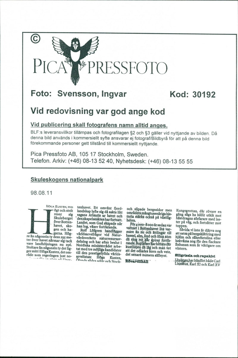 1998 NATURE RESERVED PROTECTED TELEPHONE SWEDEN PICA RESPONSIB - Vintage Photograph