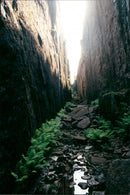 1998 NATURE RESERVED PROTECTED TELEPHONE SWEDEN PICA RESPONSIB - Vintage Photograph