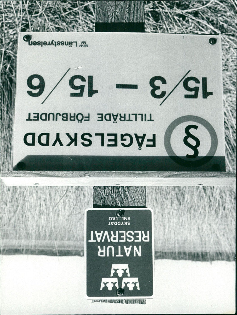 1976 NATURE RESERVED PROTECTED BY CLICHERA NYGREN LENNART - Vintage Photograph