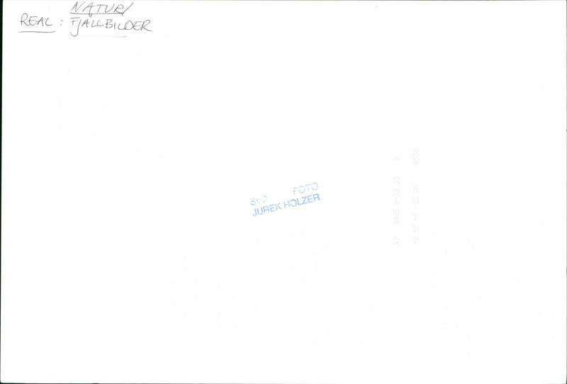 Nature, Mountain pictures. - Vintage Photograph