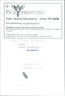 Nature, Mountain pictures. Landmarks in Herjedalsfjällen. - Vintage Photograph