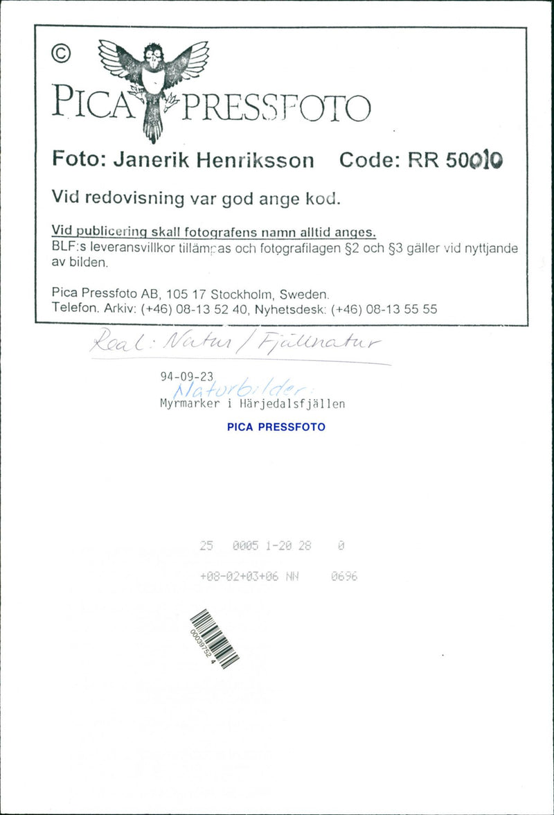 Nature, Mountain pictures. Landmarks in Herjedalsfjällen. - Vintage Photograph