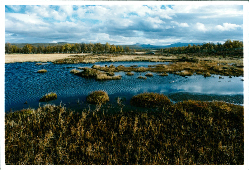 Nature, Mountain pictures. Landmarks in Herjedalsfjällen. - Vintage Photograph