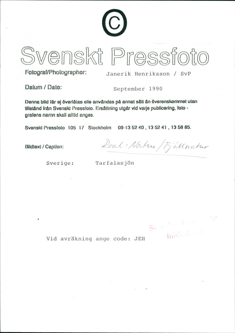 Nature, Mountain pictures, Tarfalasjon. - Vintage Photograph