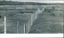 WIR ECO2 AGENC x3 cod UM 23 NOV THE FENCE AT WINTERTON WHICH - Vintage Photograph