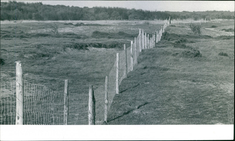 WIR ECO2 AGENC x3 cod UM 23 NOV THE FENCE AT WINTERTON WHICH - Vintage Photograph