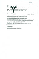 Fredrik Modin - Vintage Photograph