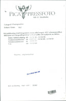 1967 TAX SALE IMAGE COMPANY DUKE ENGLAND FESTIVAL TOGETHER - Vintage Photograph