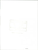 PEOPLE GREEN THIS CIO LENTES AWARE COMPANY DUKE ENGLAND FESTIVAL TOGETHER - Vintage Photograph