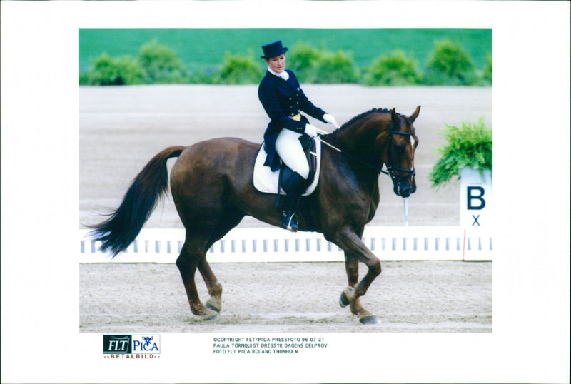 Dressage, Paula Torquist - Vintage Photograph