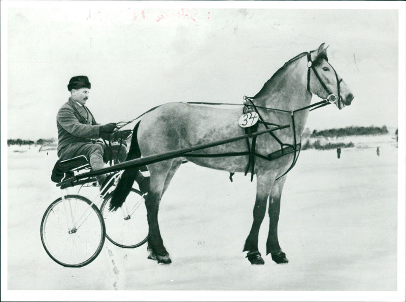 Klanen Nordin, Equestrian - Vintage Photograph