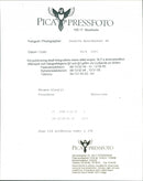 Thomas Klestil, Politician. - Vintage Photograph