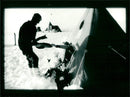 1986 BUT BITTER CIOLOGIST HER TURN THEIR GLACIA VERY ONLY FREEZE EXPEDITION - Vintage Photograph