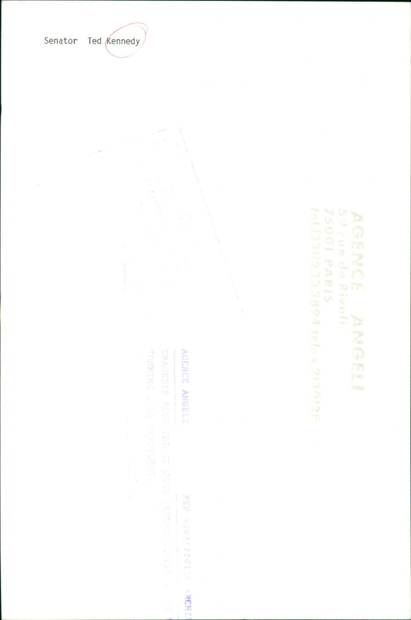 Senator Edward Kennedy - Vintage Photograph