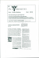 1995 SKIING MIDNIGHT LAPPLANDIA SPO SWEDEN NOBEL FILM POET ALBERT - Vintage Photograph