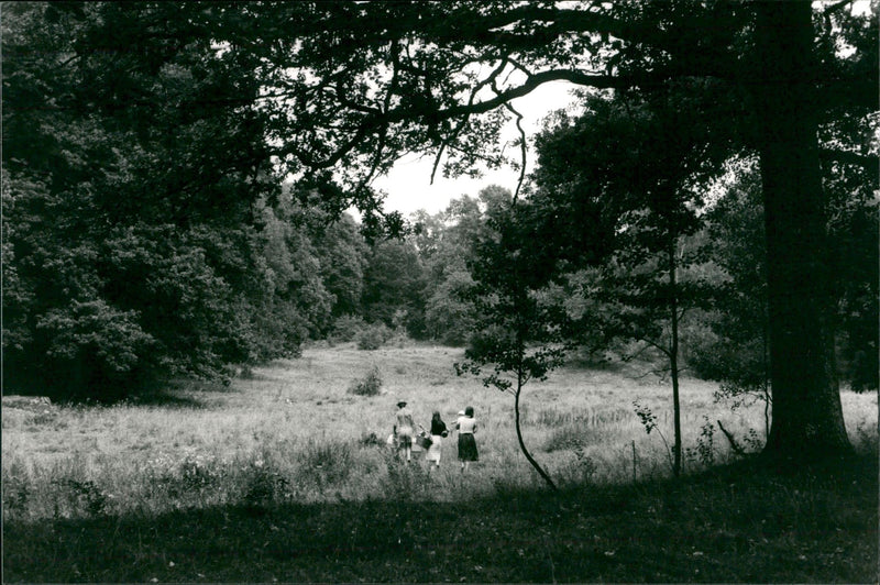 Bjärka-Säby i Östergötland - Vintage Photograph
