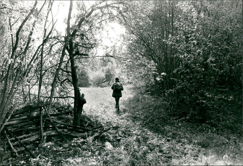 Ostkustleden - Vintage Photograph