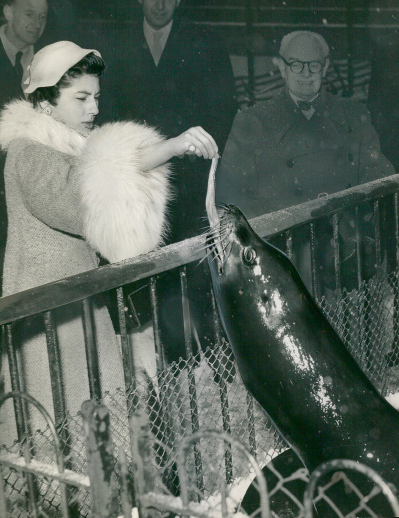 1955 PUBLISHED QUEEN SHAH - Vintage Photograph