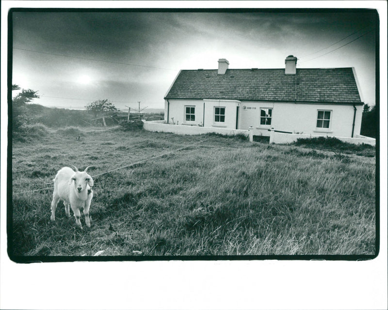 Hake Island - Vintage Photograph