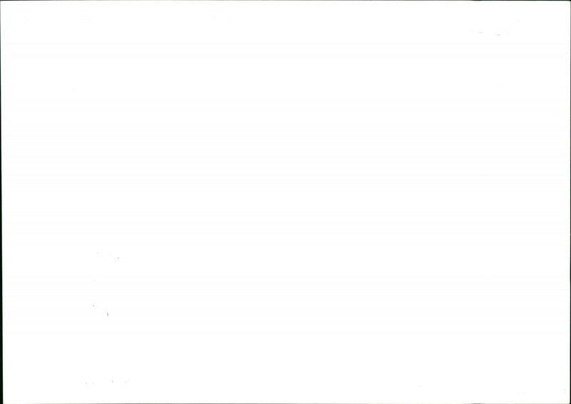 Tourist - Vintage Photograph