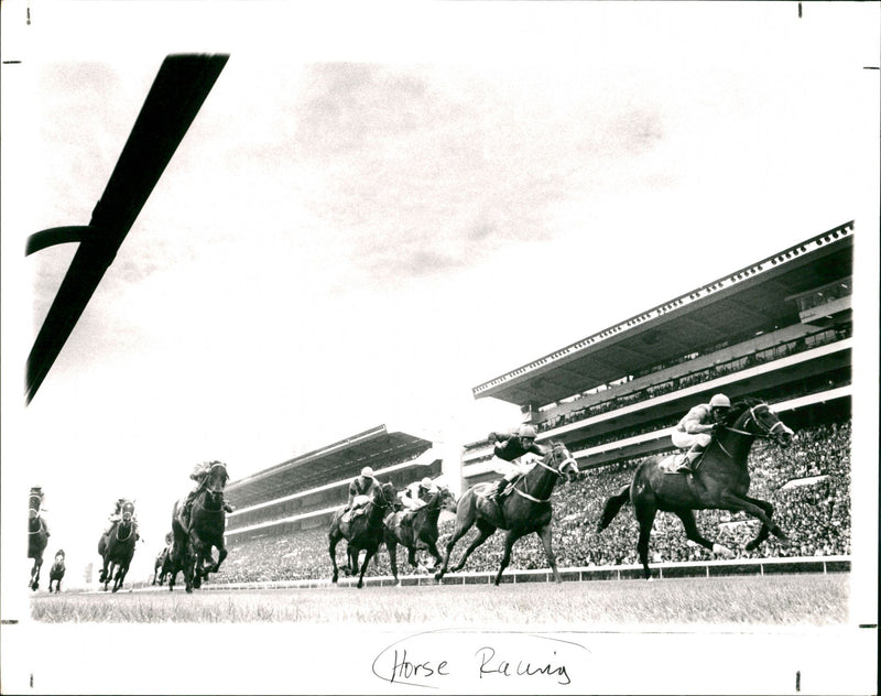 Horse Racing - Vintage Photograph