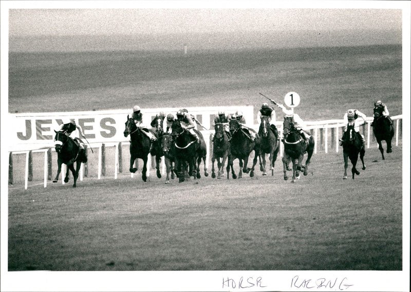 Horse Racing - Vintage Photograph