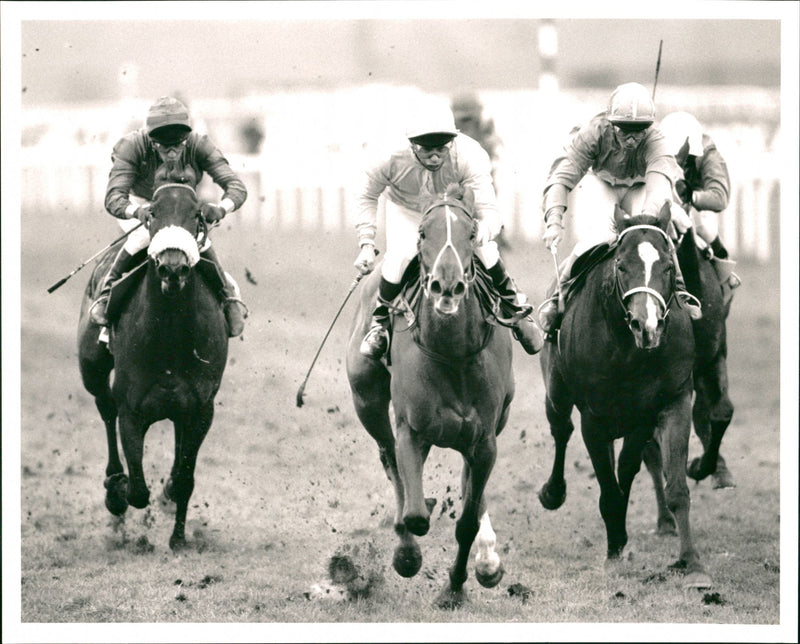 Horse Racing - Vintage Photograph