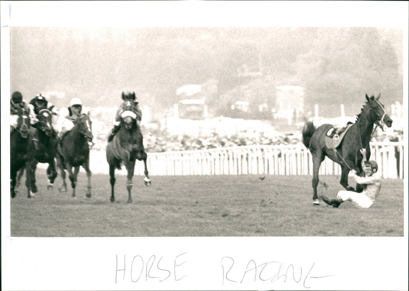 Horse Racing - Vintage Photograph