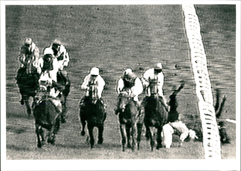 Horse Racing - Vintage Photograph