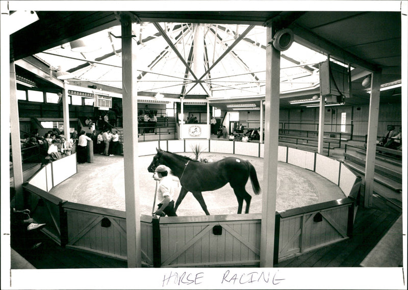 Horse Racing - Vintage Photograph