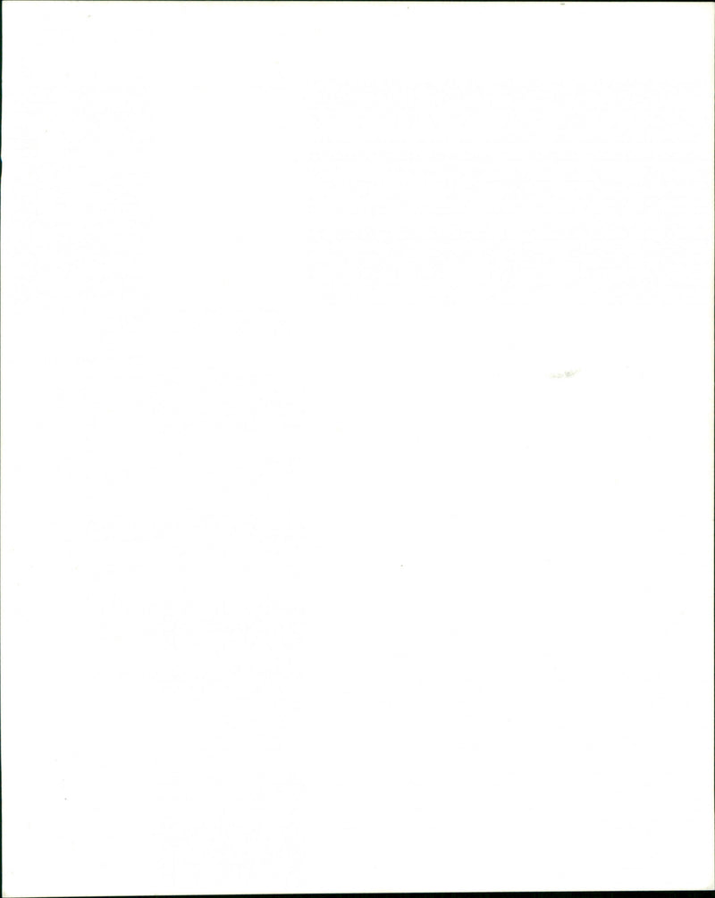 Saddam Hussein - Vintage Photograph