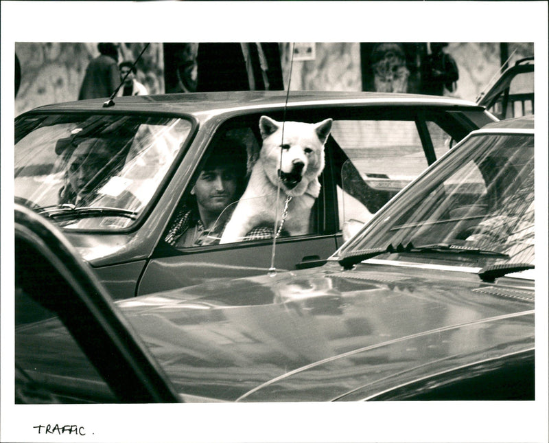 Traffic - Vintage Photograph