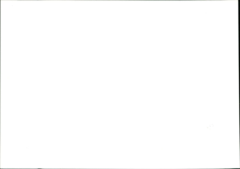 Traffic - Vintage Photograph