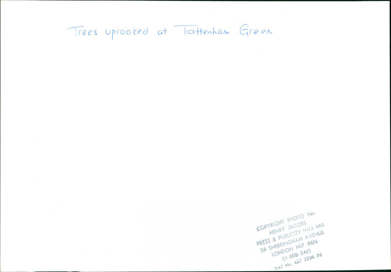 Tottenham Green - Vintage Photograph