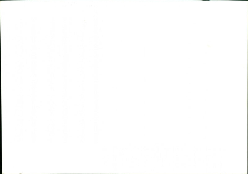 Toll Bridge - Vintage Photograph