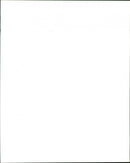 Hedgehog - Vintage Photograph